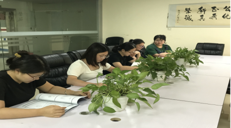 真正大课堂——专题报道（一）财务新税法培训