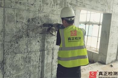 三、主体结构检测